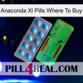 Anaconda Xl Pills Where To Buy new03